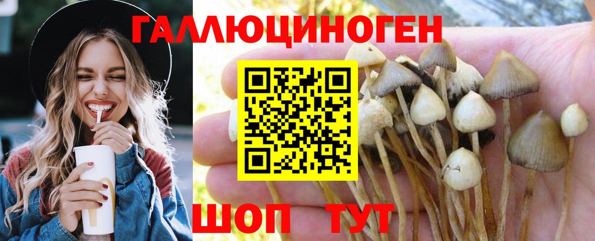 Галлюциногенные грибы ЛСД Новоалтайск