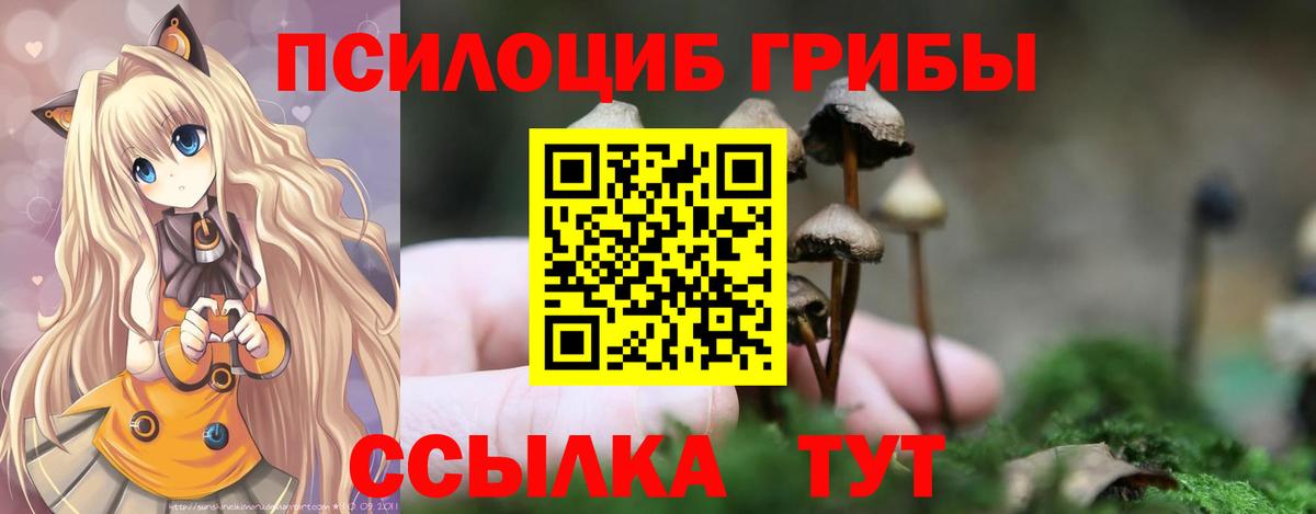 Галлюциногенные грибы Psilocybe  Вход с VPN  Новоалтайск  Галлюциногенные грибы Psilocybe 