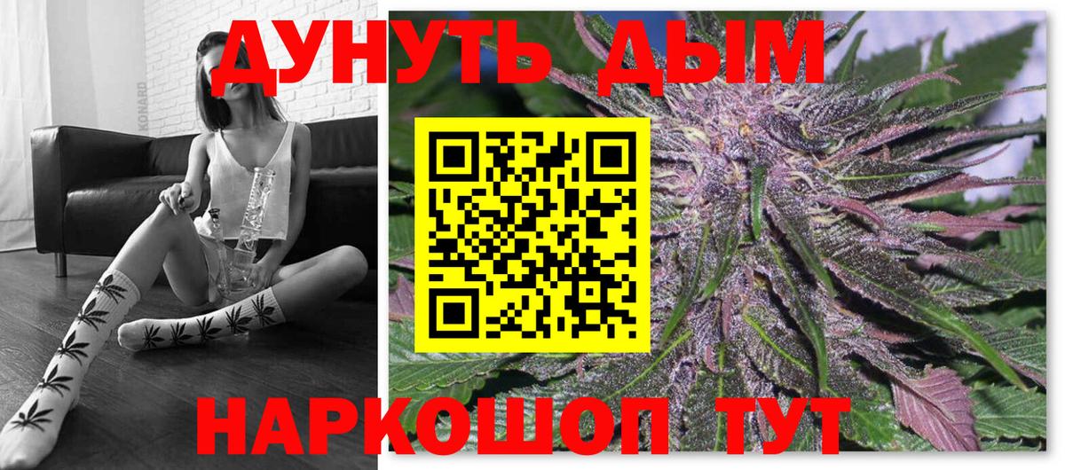 Бошки марихуана планчик  Вход с VPN  Новоалтайск  Канабис планчик 